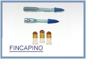 Pinos Talvegue